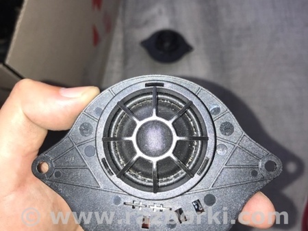 ФОТО Динамик для Audi (Ауди) A4 V B9 - 8W (2015-) Київ