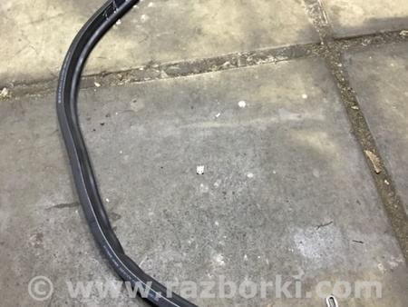 ФОТО Уплотнительная резинка для Audi (Ауди) A4 V B9 - 8W (2015-) Київ