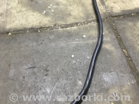 ФОТО Уплотнительная резинка для Audi (Ауди) A4 V B9 - 8W (2015-) Київ