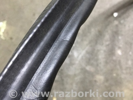 ФОТО Уплотнительная резинка для Audi (Ауди) A4 V B9 - 8W (2015-) Київ