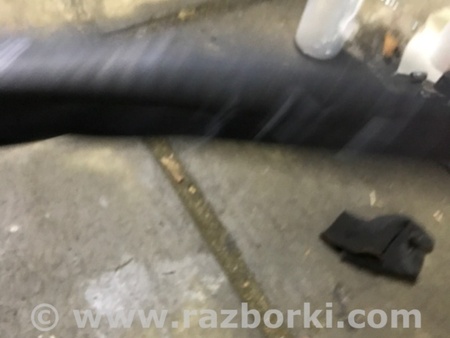 ФОТО Уплотнительная резинка для Audi (Ауди) A4 V B9 - 8W (2015-) Київ