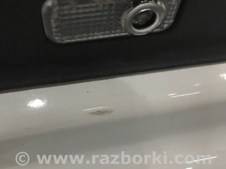 ФОТО Плафон подсветки салона для Audi (Ауди) A4 V B9 - 8W (2015-) Київ