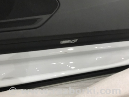 ФОТО Плафон подсветки салона для Audi (Ауди) A4 V B9 - 8W (2015-) Київ