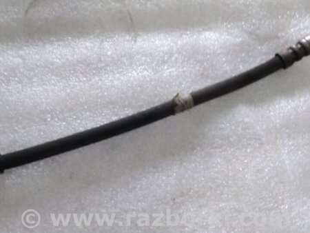 ФОТО Шланг тормозной для Audi (Ауди) A4 V B9 - 8W (2015-) Київ