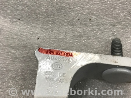 ФОТО Петля двери для Audi (Ауди) A4 V B9 - 8W (2015-) Київ