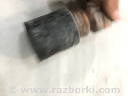 ФОТО Отбойник амортизатора для Audi (Ауди) A4 V B9 - 8W (2015-) Київ