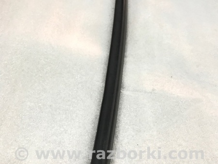 ФОТО Молдинг лобового стекла для Audi (Ауди) A4 V B9 - 8W (2015-) Київ