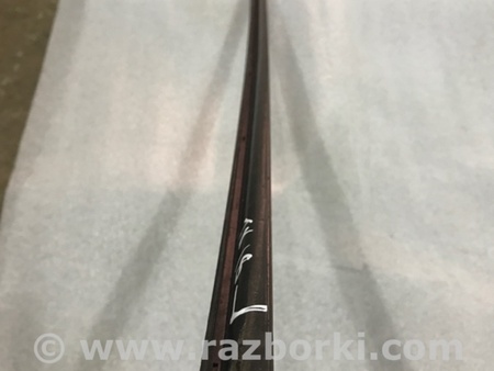 ФОТО Молдинг лобового стекла для Audi (Ауди) A4 V B9 - 8W (2015-) Київ