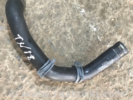 ФОТО Патрубок системы охлаждения для Audi (Ауди) A4 V B9 - 8W (2015-) Київ