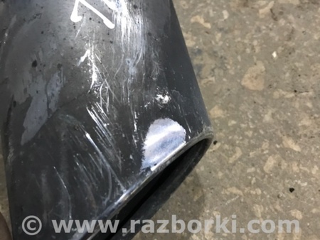 ФОТО Насадка на глушитель для Audi (Ауди) A4 V B9 - 8W (2015-) Київ