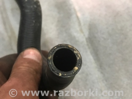 ФОТО Патрубок системы охлаждения для Audi (Ауди) A4 V B9 - 8W (2015-) Київ