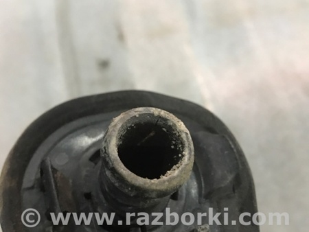 ФОТО Патрубок системы охлаждения для Audi (Ауди) A4 V B9 - 8W (2015-) Київ