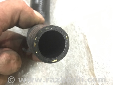 ФОТО Патрубок системы охлаждения для Audi (Ауди) A4 V B9 - 8W (2015-) Київ