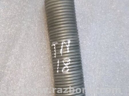 ФОТО пружина багажника для Audi (Ауди) A4 V B9 - 8W (2015-) Київ