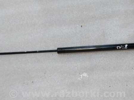 ФОТО Амортизатор крышки багажника для Audi (Ауди) A4 V B9 - 8W (2015-) Київ