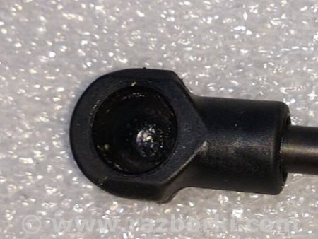 ФОТО Амортизатор крышки багажника для Audi (Ауди) A4 V B9 - 8W (2015-) Київ