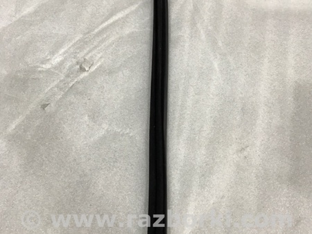 ФОТО Уплотнитель стекла двери для Audi (Ауди) A4 V B9 - 8W (2015-) Київ