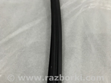 ФОТО Уплотнитель стекла двери для Audi (Ауди) A4 V B9 - 8W (2015-) Київ