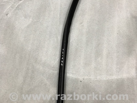 ФОТО Уплотнитель стекла двери для Audi (Ауди) A4 V B9 - 8W (2015-) Київ