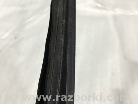 ФОТО Уплотнитель стекла двери для Audi (Ауди) A4 V B9 - 8W (2015-) Київ