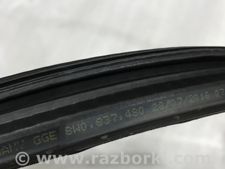 ФОТО Уплотнитель стекла двери для Audi (Ауди) A4 V B9 - 8W (2015-) Київ