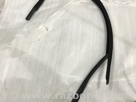 ФОТО Направляющая стекла двери для Audi (Ауди) A4 V B9 - 8W (2015-) Київ