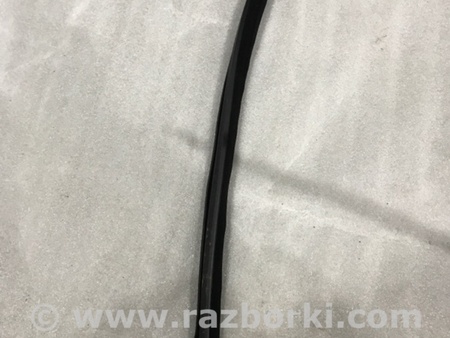 ФОТО Уплотнитель стекла двери для Audi (Ауди) A4 V B9 - 8W (2015-) Київ