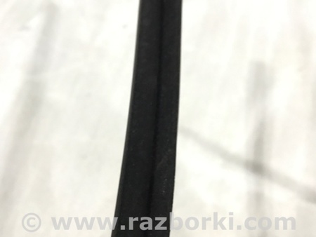 ФОТО Уплотнитель стекла двери для Audi (Ауди) A4 V B9 - 8W (2015-) Київ