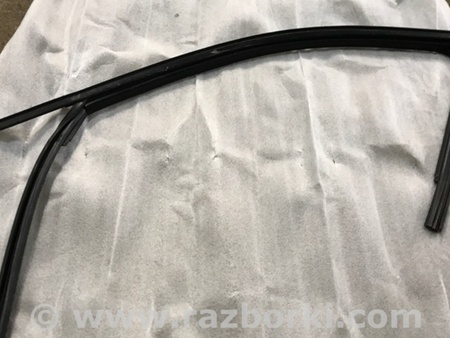 ФОТО Направляющая стекла двери для Audi (Ауди) A4 V B9 - 8W (2015-) Київ