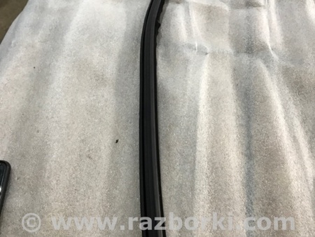 ФОТО Уплотнитель стекла двери для Audi (Ауди) A4 V B9 - 8W (2015-) Київ