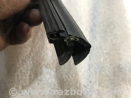 ФОТО Уплотнитель стекла двери для Audi (Ауди) A4 V B9 - 8W (2015-) Київ