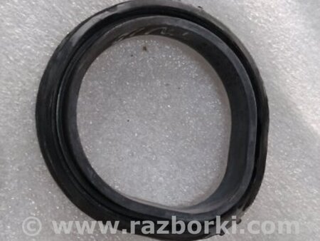 ФОТО Уплотнительная резинка для Audi (Ауди) A4 V B9 - 8W (2015-) Київ