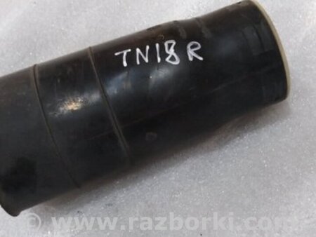 ФОТО Пыльник амортизатора для Audi (Ауди) A4 V B9 - 8W (2015-) Київ