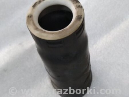 ФОТО Пыльник амортизатора для Audi (Ауди) A4 V B9 - 8W (2015-) Київ