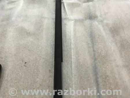 ФОТО Молдинг двери для Audi (Ауди) A4 V B9 - 8W (2015-) Київ