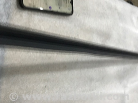 ФОТО Молдинг двери для Audi (Ауди) A4 V B9 - 8W (2015-) Київ