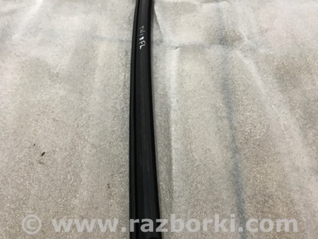 ФОТО Уплотнитель стекла двери для Audi (Ауди) A4 V B9 - 8W (2015-) Київ