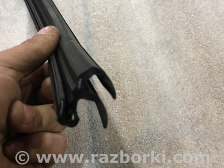 ФОТО Уплотнитель стекла двери для Audi (Ауди) A4 V B9 - 8W (2015-) Київ