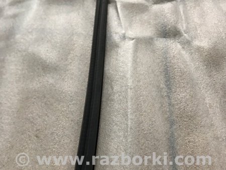 ФОТО Уплотнитель стекла двери для Audi (Ауди) A4 V B9 - 8W (2015-) Київ