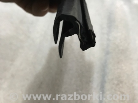 ФОТО Уплотнитель стекла двери для Audi (Ауди) A4 V B9 - 8W (2015-) Київ