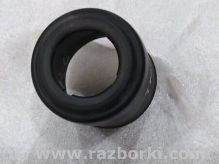 ФОТО Пыльник амортизатора для Audi (Ауди) A4 V B9 - 8W (2015-) Київ