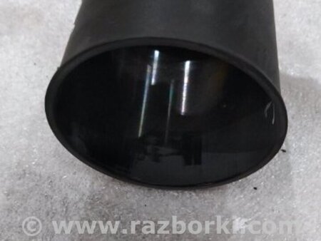 ФОТО Пыльник амортизатора для Audi (Ауди) A4 V B9 - 8W (2015-) Київ