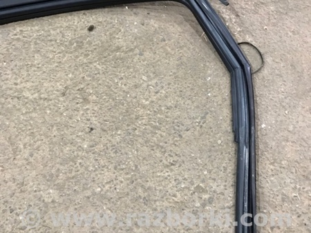 ФОТО Направляющая стекла двери для Audi (Ауди) A4 V B9 - 8W (2015-) Київ