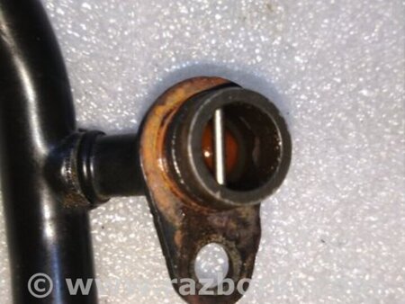 ФОТО Трубка охлаждения для Audi (Ауди) A4 V B9 - 8W (2015-) Київ