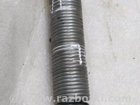 ФОТО пружина багажника для Audi (Ауди) A4 V B9 - 8W (2015-) Київ