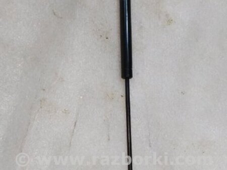 ФОТО Амортизатор двери багажника для Audi (Ауди) A4 V B9 - 8W (2015-) Київ