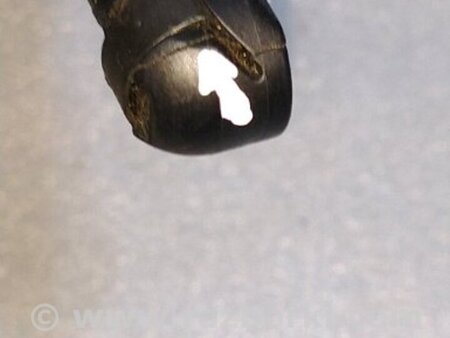 ФОТО Амортизатор двери багажника для Audi (Ауди) A4 V B9 - 8W (2015-) Київ