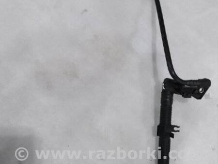 ФОТО Трубка вакуумная для Audi (Ауди) A4 V B9 - 8W (2015-) Київ