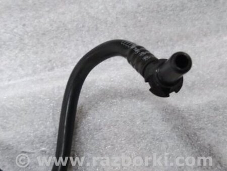 ФОТО Трубка вакуумная для Audi (Ауди) A4 V B9 - 8W (2015-) Київ