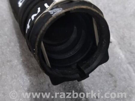 ФОТО Патрубок системы охлаждения для Audi (Ауди) A4 V B9 - 8W (2015-) Київ